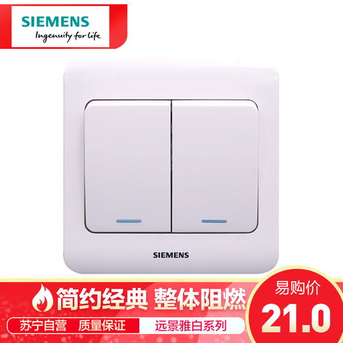 遠(yuǎn)景二位單控大蹺板開關(guān) 帶熒光 雅白 5ta0115 1cc1圖片大全 郵樂官方網(wǎng)站